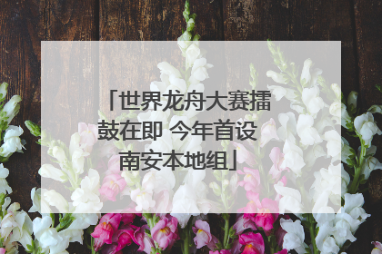 世界龙舟大赛擂鼓在即 今年首设南安本地组