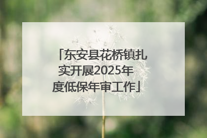 东安县花桥镇扎实开展2025年度低保年审工作
