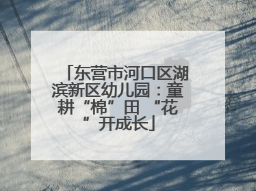 东营市河口区湖滨新区幼儿园：童耕“棉”田 “花”开成长