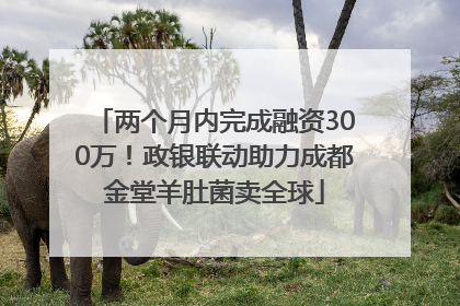 两个月内完成融资300万！政银联动助力成都金堂羊肚菌卖全球