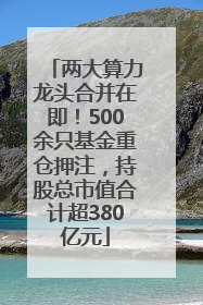 两大算力龙头合并在即！500余只基金重仓押注，持股总市值合计超380亿元