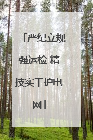 严纪立规强运检 精技实干护电网