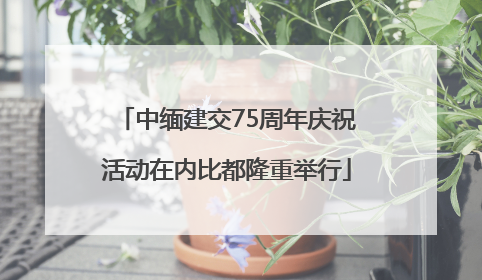 中缅建交75周年庆祝活动在内比都隆重举行