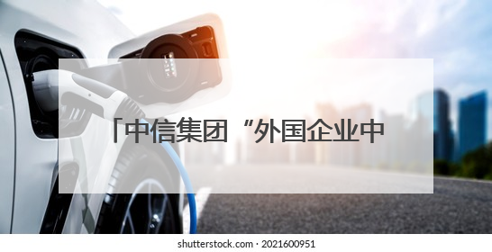中信集团“外国企业中国行”再出发，超200家日资企业走进广东
