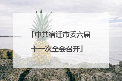 中共宿迁市委六届十一次全会召开