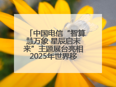 中国电信“智算慧万象 星辰启未来”主题展台亮相2025年世界移动通信大会