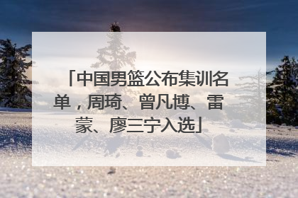 中国男篮公布集训名单，周琦、曾凡博、雷蒙、廖三宁入选