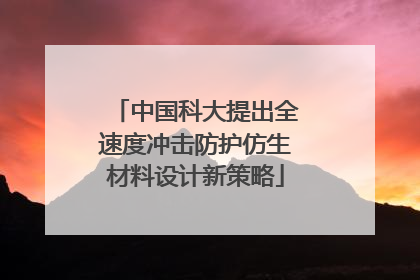 中国科大提出全速度冲击防护仿生材料设计新策略