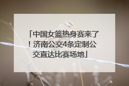 中国女篮热身赛来了！济南公交4条定制公交直达比赛场地
