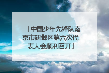 中国少年先锋队南京市建邺区第六次代表大会顺利召开