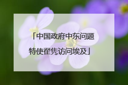中国政府中东问题特使翟隽访问埃及