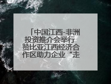 中国江西-非洲投资推介会举行 赞比亚江西经济合作区助力企业“走出去”