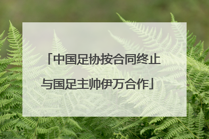 中国足协按合同终止与国足主帅伊万合作