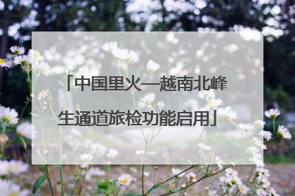 中国里火—越南北峰生通道旅检功能启用