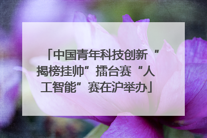 中国青年科技创新“揭榜挂帅”擂台赛“人工智能”赛在沪举办