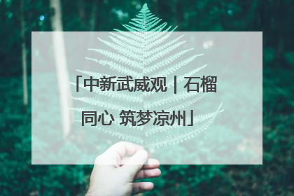 中新武威观｜石榴同心 筑梦凉州