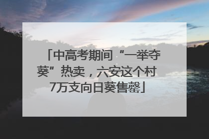 中高考期间“一举夺葵”热卖，六安这个村7万支向日葵售罄