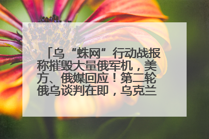 乌“蛛网”行动战报称摧毁大量俄军机，美方、俄媒回应！第二轮俄乌谈判在即，乌克兰提出三大诉求