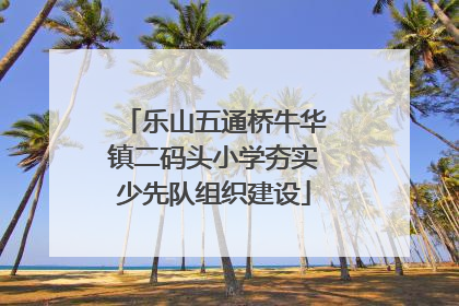 乐山五通桥牛华镇二码头小学夯实少先队组织建设