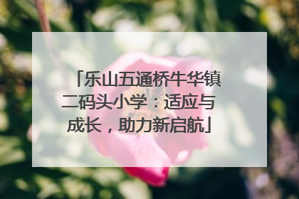 乐山五通桥牛华镇二码头小学：适应与成长，助力新启航