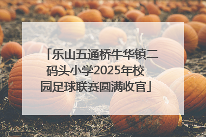 乐山五通桥牛华镇二码头小学2025年校园足球联赛圆满收官