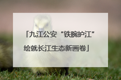 九江公安“铁腕护江”绘就长江生态新画卷