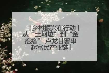 乡村振兴在行动丨从“土坷垃”到“金疙瘩” 卢龙甘薯串起富民产业链