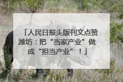 人民日报头版刊文点赞潍坊：把“当家产业”做成“担当产业”！