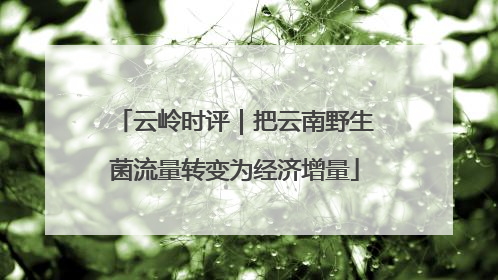 云岭时评｜把云南野生菌流量转变为经济增量