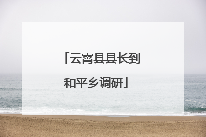 云霄县县长到和平乡调研