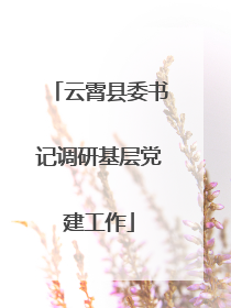 云霄县委书记调研基层党建工作