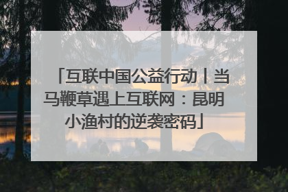 互联中国公益行动丨当马鞭草遇上互联网：昆明小渔村的逆袭密码