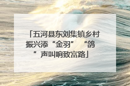 五河县东刘集镇乡村振兴添“金羽” “鸽”声叫响致富路