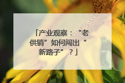 产业观察：“老供销”如何闯出“新路子”？