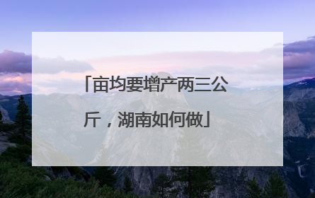 亩均要增产两三公斤，湖南如何做
