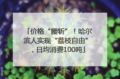 价格“腰斩”！哈尔滨人实现“荔枝自由”，日均消费100吨