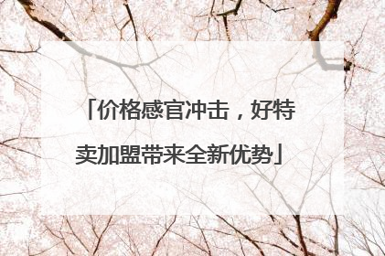 价格感官冲击，好特卖加盟带来全新优势