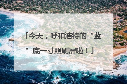 今天，呼和浩特的“蓝”底一寸照刷屏啦！