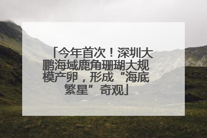 今年首次！深圳大鹏海域鹿角珊瑚大规模产卵，形成“海底繁星”奇观