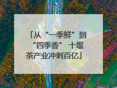 从“一季鲜”到“四季香” 十堰茶产业冲刺百亿