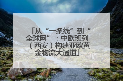 从“一条线”到“全球网”：中欧班列（西安）构建亚欧黄金物流大通道