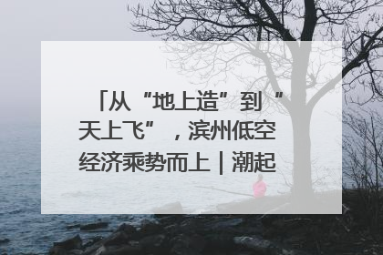 从“地上造”到“天上飞”，滨州低空经济乘势而上｜潮起渤海・网聚黄蓝