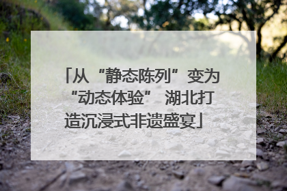 从“静态陈列”变为“动态体验” 湖北打造沉浸式非遗盛宴