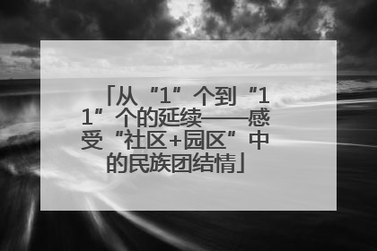 从“1”个到“11”个的延续——感受“社区+园区”中的民族团结情