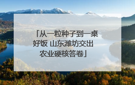 从一粒种子到一桌好饭 山东潍坊交出农业硬核答卷