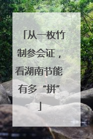 从一枚竹制参会证，看湖南节能有多“拼”