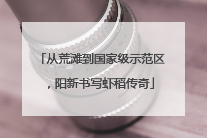 从荒滩到国家级示范区，阳新书写虾稻传奇