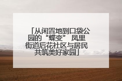 从闲置地到口袋公园的“蝶变” 凤里街道后花社区与居民共筑美好家园