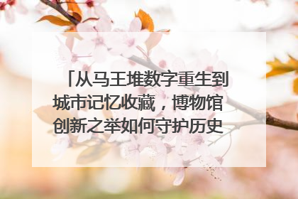 从马王堆数字重生到城市记忆收藏，博物馆创新之举如何守护历史、连接未来？