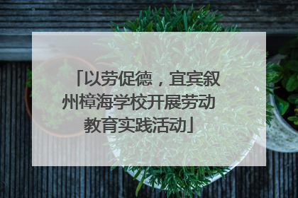 以劳促德，宜宾叙州樟海学校开展劳动教育实践活动